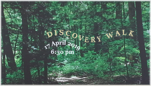 NPSNEO program graphic for discovery walk 17 April 2019