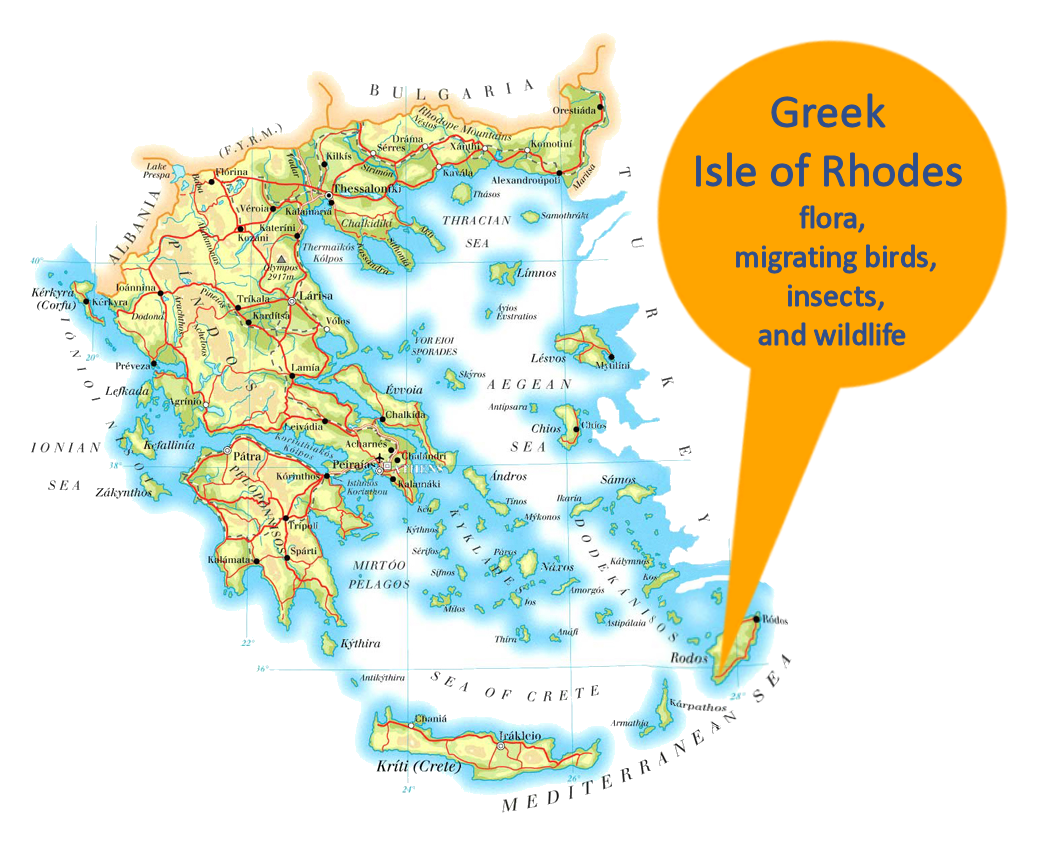 Isle of Rhodes Native Plant Society program infographic